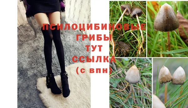 ПСИЛОЦИБИНОВЫЕ ГРИБЫ Алзамай
