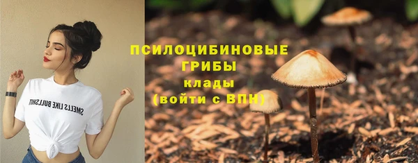 ПСИЛОЦИБИНОВЫЕ ГРИБЫ Алзамай
