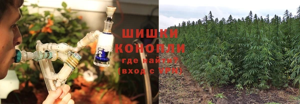 ПСИЛОЦИБИНОВЫЕ ГРИБЫ Алзамай